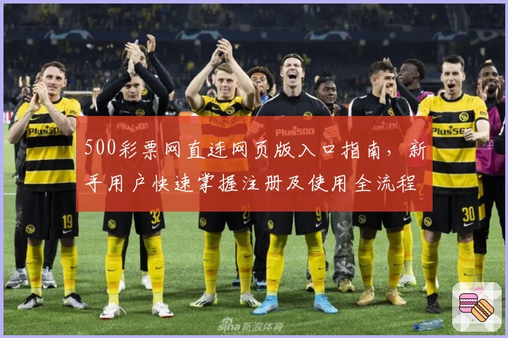 500彩票网直连网页版入口指南，新手用户快速掌握注册及使用全流程