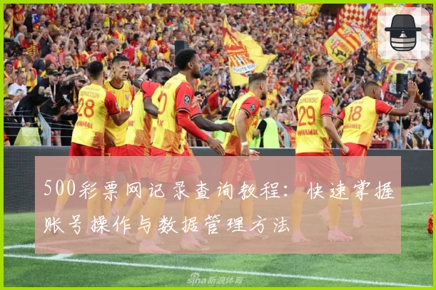 500彩票网记录查询教程：快速掌握账号操作与数据管理方法
