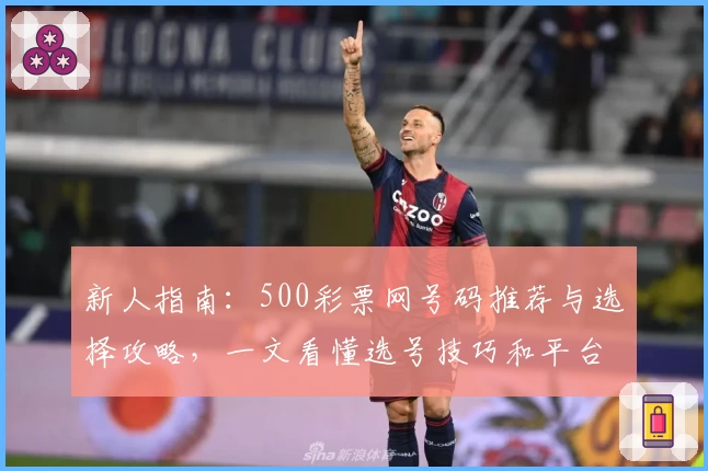 新人指南：500彩票网号码推荐与选择攻略，一文看懂选号技巧和平台特色