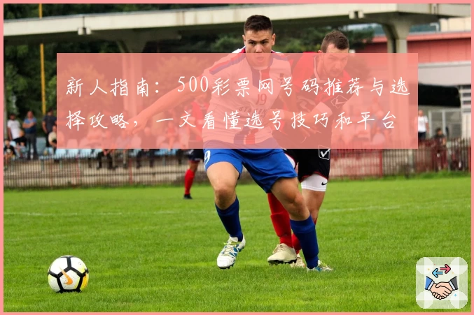 新人指南：500彩票网号码推荐与选择攻略，一文看懂选号技巧和平台特色