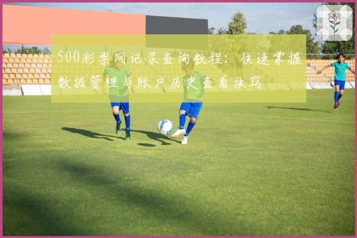 500彩票网记录查询教程：快速掌握数据管理与账户历史查看诀窍